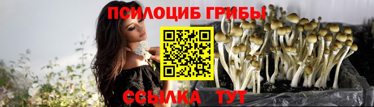 Псилоцибиновые грибы MAGIC MUSHROOMS Джанкой
