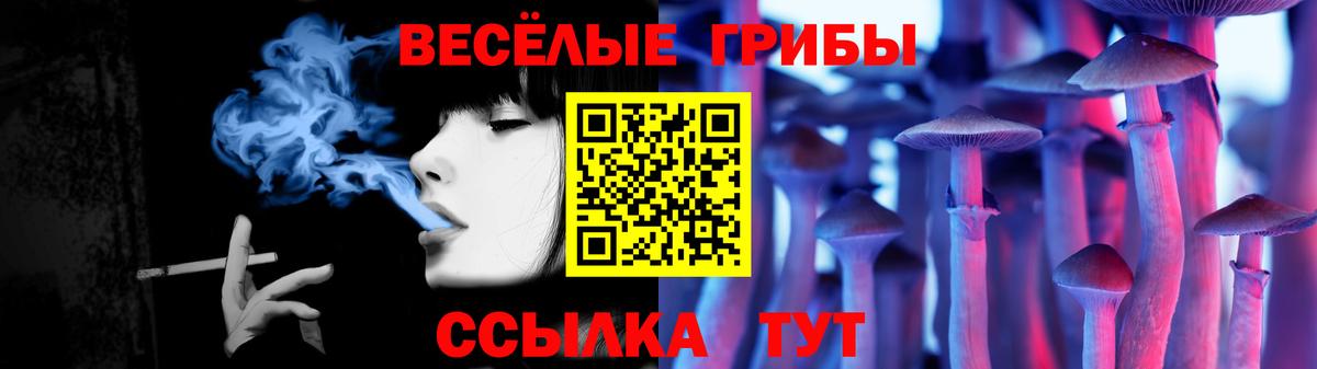 Псилоцибиновые грибы мицелий  Вход с VPN  Джанкой 